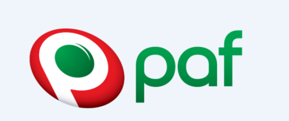 Every Little Thing You've Always Wanted To Understand About Football